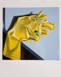 The Yellow Rubber Gloves